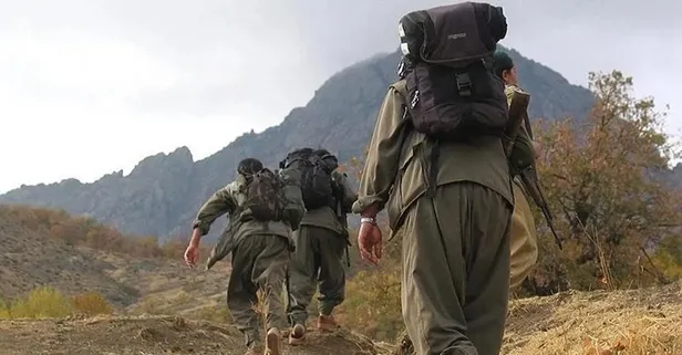 DEM'le PKK'nın bağı bir kez daha kanıtlandı! Yakalanan 'Şervan Amed' öttü: HDP dağa kaçırdı, ABD askerleri eğitti, Türkiye'ye böyle iftira attılar