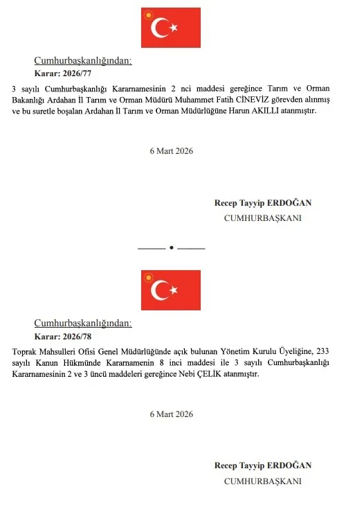Başkan Recep Tayyip Erdoğan imzaladı: Atama kararları Resmi Gazete'de-8