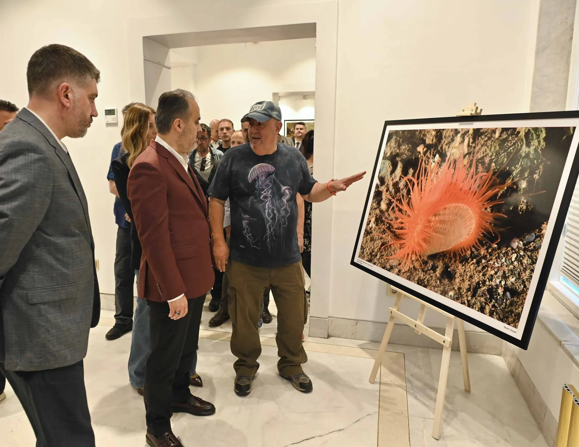 Marmara Denizi’nde hayat var