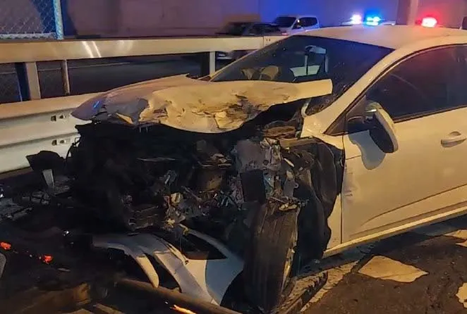 Sokak köpeği zincirleme kazaya neden oldu