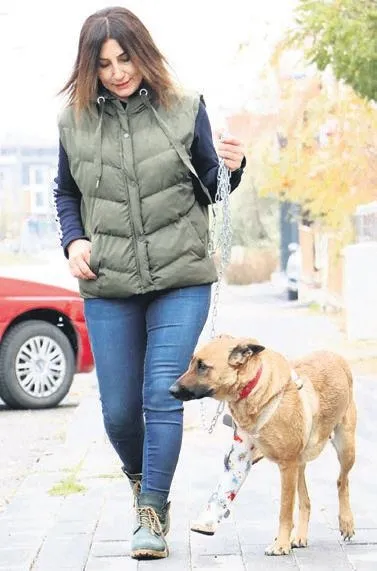 turkiyenin-konustugu-yalanci-doktorun-mesajlari-ortaya-cikti-bizde-kesmek-yok-1670021725050.jpeg Türkiye'nin konuştuğu yalancı doktorun mesajları ortaya çıktı! "Bizde kesmek yok!"-6