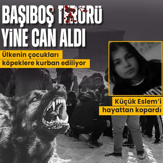 Başıboş köpek terörü küçük Eslemi hayattan kopardı: Acılı yakınları sinir krizi geçirdi