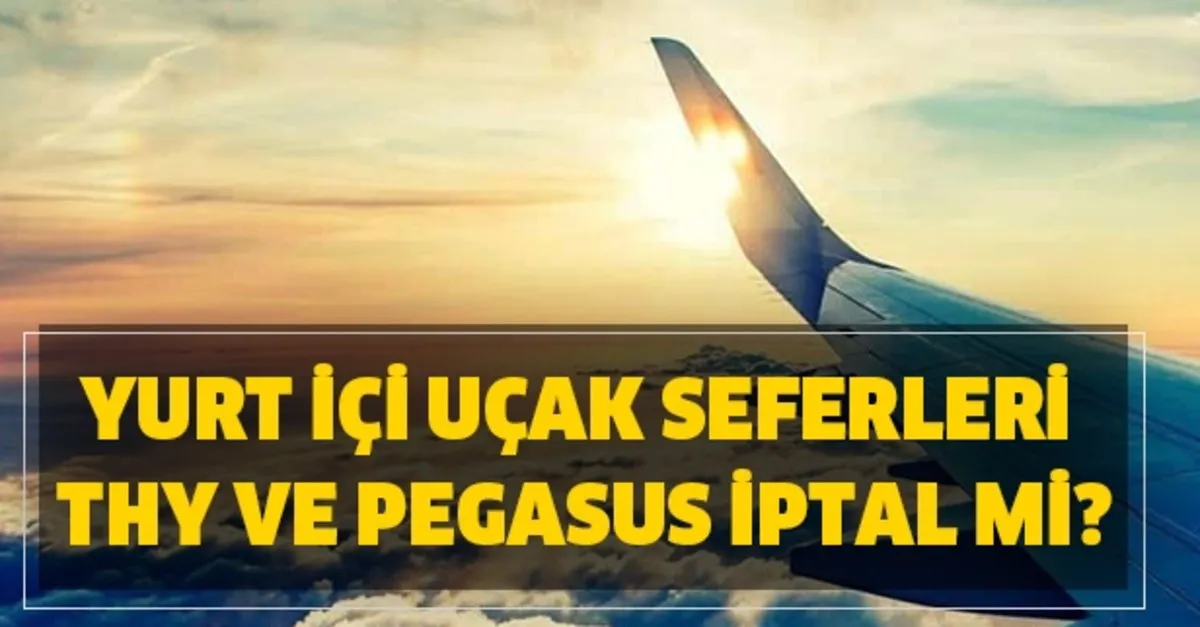 Hangi Illere Ucus Var Yurt Ici Ucak Seferleri Takvim