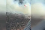 Aydın’da orman yangını!