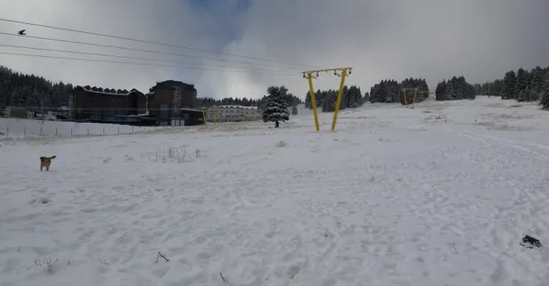 Kalınlık 20 santimetreyi buldu! Uludağ'da hareketlilik arttı