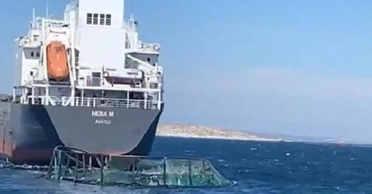 mugla da 20 milyonluk kaza kuru yuk gemisi balik ciftligi havuzlarina carpti takvim