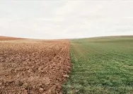 Paris Anlaşmasını onaylayan Türkiyenin iklim politikasında yeni dönem: Milli gelir yüzde 7 artırılabilir