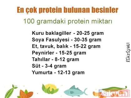Protein içeren besinler? Protein nedir? Protein’in faydaları nelerdir?