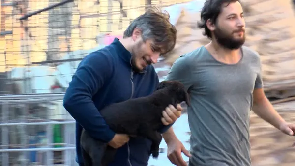 istanbul-ikitellide-yangin-faciasi-anne-kopek-ve-yavrusu-sag-olarak-kurtuldu-1630481736686.jpg İstanbul İkitelli'de yangın faciası! Anne köpek ve yavrusu sağ olarak kurtuldu-4