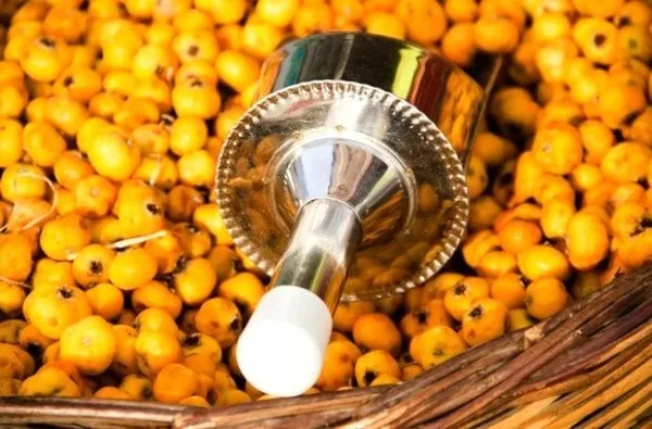 Alıç her derde deva! Alıçın faydaları nelerdir? Alıç neye iyi gelir?-2