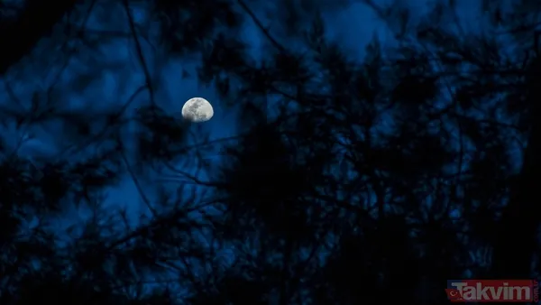 21 Mart'a Kadar Sürecek Geri Hareket Nedeniyle Önemli Kararlar Ve Yeni Adımlar İçin Acele Edilmemesi Öneriliyor. Daha Sağlıklı Ve Kalıcı Sonuçlar İçin Yeni...