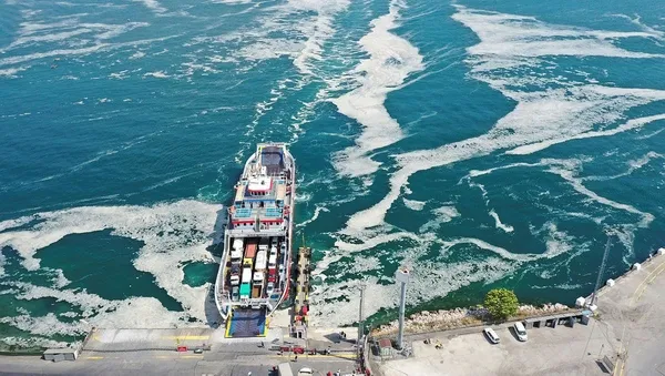 Türkiye, Marmara'yı saran müsilaja karşı düğmeye bastı! Vatandaşlar ise beyaz tehlikeye aldırmadı-3