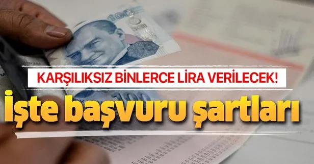 Vatandaşa binlerce lira karşılıksız destek verilecek! İşte alma şartları