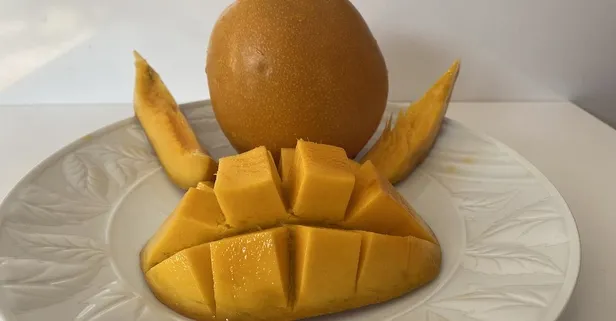 Hamileler için çok önemli olan Mangonun faydaları nelerdir?