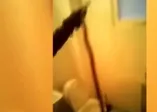Evin tuvaletinden boa yılanı çıktı!