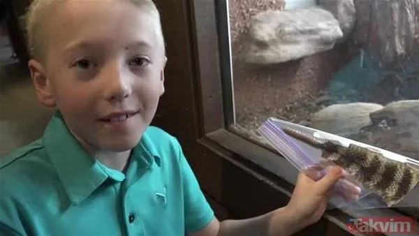 Çıngıraklı yılanın kuyruğundan çıkanlar görenleri şoke etti! Sonrasında ise... - 7