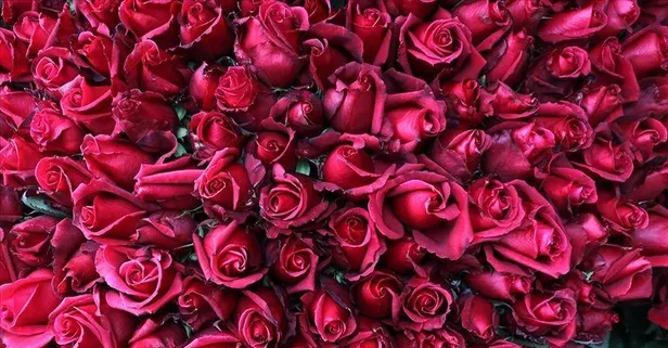 Duyunca şaşıracağınız pratik bilgiler!