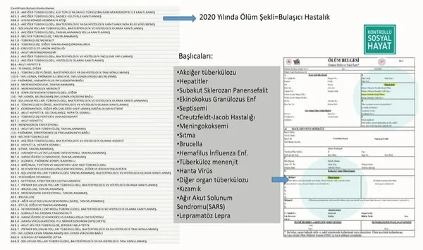 saglik-bakani-fahrettin-koca-can-kaybi-sayisi-fazla-yalanini-yayan-muhaliflere-belgelerle-cevap-verdi-1607539452987.jpg Sağlık Bakanı Fahrettin Koca "can kaybı sayısı fazla" yalanını yayan muhaliflere belgelerle cevap verdi-4