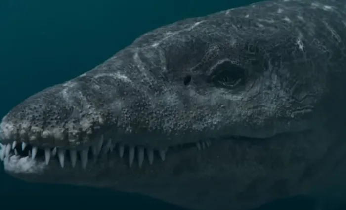 75-milyon-yil-once-yasayan-130-disli-2-metrelik-canavar-bulundu-bilim-dunyasinin-agzi-acik-kaldi-1702563746529.jpg 130 dişli canavar bulundu: Dehşet saçmış!-3