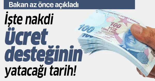 Son dakika: Devletten aylık 1177 lira! Aralık ayı nakdi ücret desteği ne zaman yatacak? Nakdi ücret desteğine nasıl başvurulur?-1