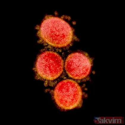 Bilim insanları ilk kez paylaştı! İşte dünyaya korku salan corona virüsün görüntüsü