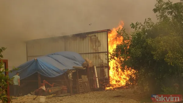 Kan kaybeden PKK, Türkiye'nin ormanlarını yakıyor: Yunanistan'da eğitim gördüler hedeflerinde turistik bölgeler var - 39