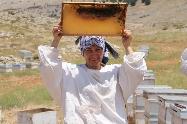 arilar-1500-cicekten-topladi-mersinde-2-bin-rakimli-toros-daglarinin-zirvesinde-bag-sagimi-basladi-1627457695494.jpg Arılar 1500 çiçekten topladı! Mersin'de 2 bin rakımlı Toros Dağları'nın zirvesinde bağ sağımı başladı-6