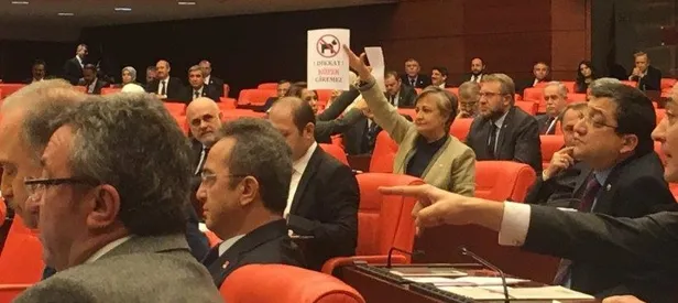 Meclis'te 'dikkat köpek giremez' afişi