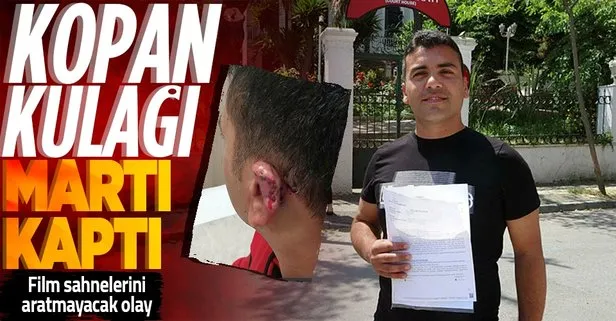 Kavgada kopan kulağını martı kaptı! İstanbul’da inanılmaz olay
