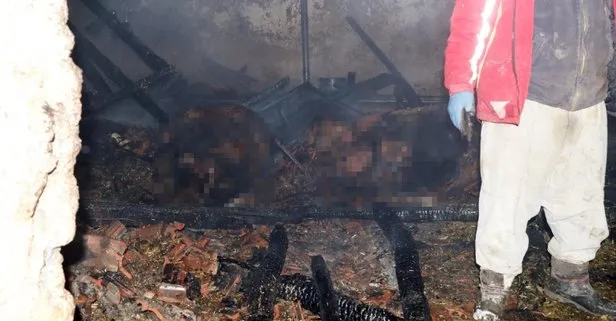 Eskişehir’de Turgutlar Mahallesi’nde ağılda çıkan yangın 3 saatte söndürüldü! 50 hayvan telef oldu 800 bin lira zarar
