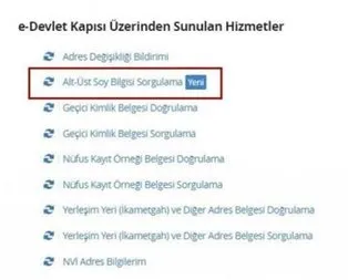 Soyağacı sorgulama durduruldu mu?