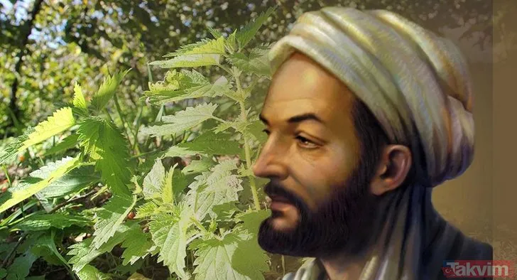 İbn-i Sina’nın asırlık reçetesi: Etkisi inanılmaz! Tertemiz ediyor