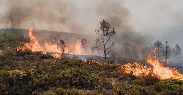 Avrupa Birliği ülkelerinde orman yangınları kontrolden çıktı: 40 noktada alevlerle mücadele sürüyor