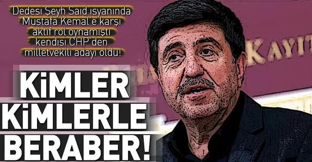 Altan Tan CHPden milletvekili adayı oldu!