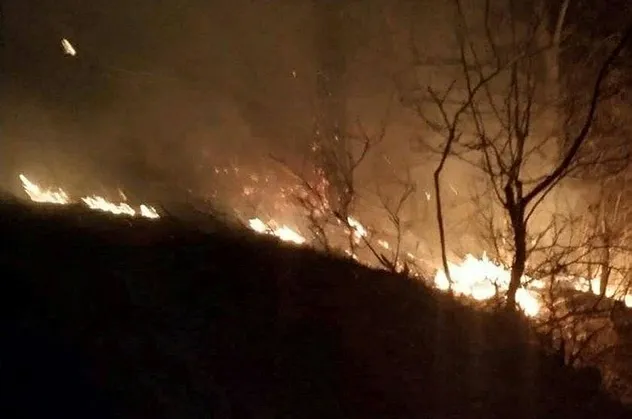 Son dakika: Osmaniye'de çıkan orman yangınına müdahale ediliyor