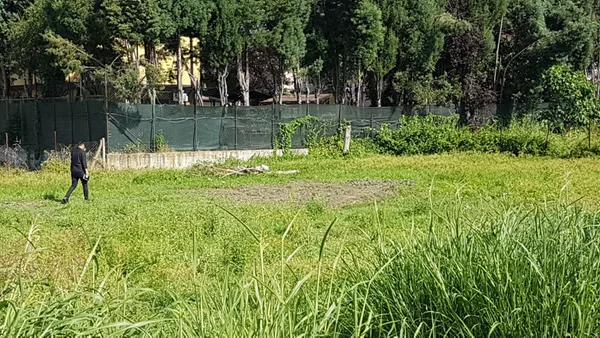 sakaryada-13-parcaya-ayrilan-cesetlerin-baslari-bulunamadi-1625221410607.jpg Sakarya'da 13 parçaya ayrılan cesetlerin başları bulunamadı-8