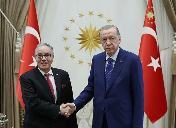 Başkan Erdoğan güven mektubu sunan büyükelçileri kabul etti-5