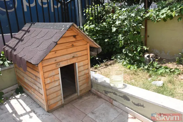 'Daire 16' sözleriyle gündem oldu! Köpük yerinde kalacak - 26