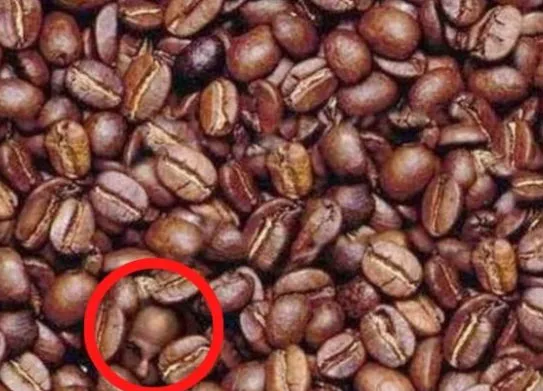 Kahve çekirdeklerindeki gizli adamı 33 saniyeden önce görebilir misiniz? Dahi olduğunuzu ispat edin!-4