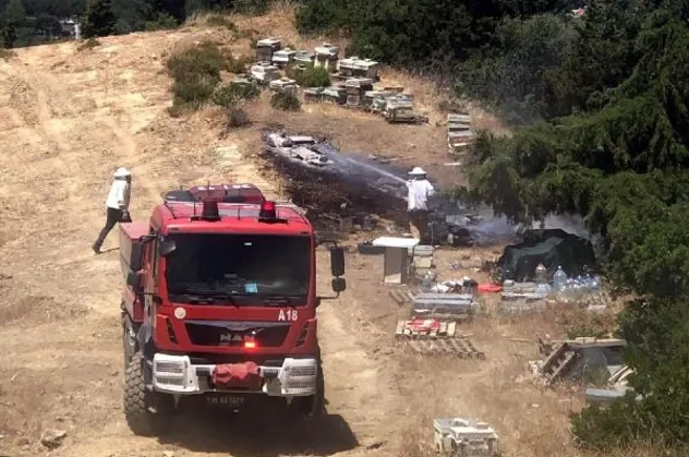 İzmir'de orman yangını! Havadan ve karadan müdahale başladı