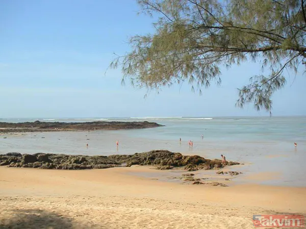 Dünya savaşlarını bilen Mason Albert Pike'ın 3.Dünya Savaşı kehaneti korkunç (Albert Pike kimdir?) - 19