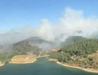 İzmir’de orman yangını