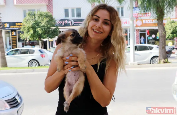 Satışı yasak olan hayvanları internetten satıyorlar - 7