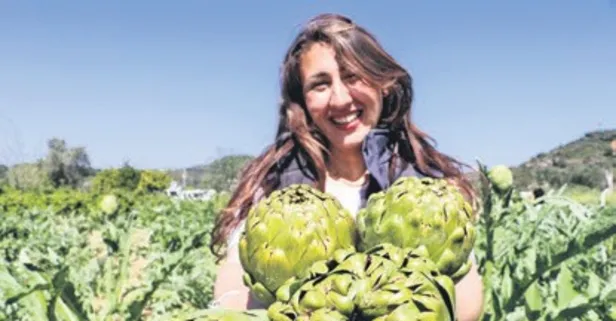 Hibrit enginar rekoltesiyle memnun etti!