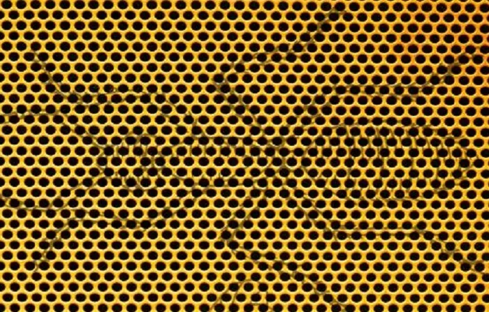 ilk-gordugun-hayvan-buysa-hafiza-gucun-muhtesem-derecede-cikiyor-1711095368192.jpg İlk gördüğün hayvan buysa hafıza seviyen muhteşem derecede çıkıyor-3