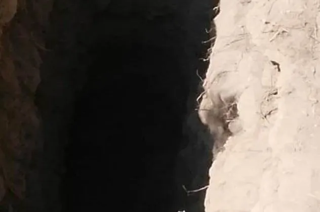 Manisa'da kaçak kazıya suçüstü!