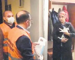 Geçmiş olsun balkız!