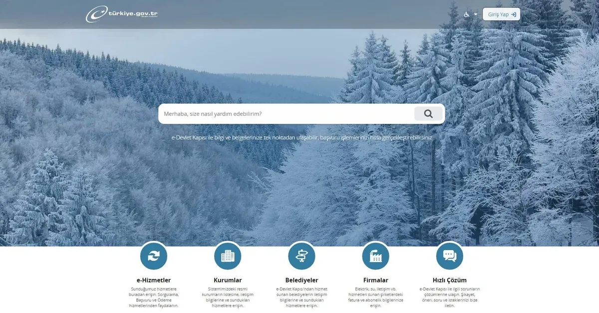 e devlet girisi nasil yapilir e devlet