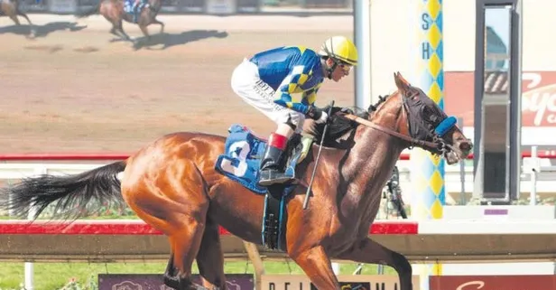 Dünyanın en pahalı at yarışı Suudi Arabistan'da: Tam 20 milyon dolar ödül dağıtılacak!