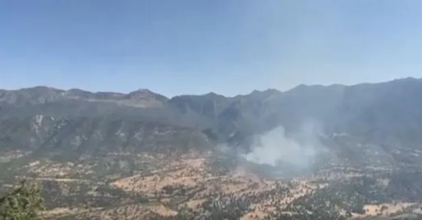 Milli Savunma Bakanlığı paylaştı! Terör örgütü PKK’dan alçak plan: Ormanları yakarak saklanmaya çalışıyorlar
